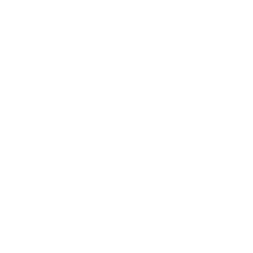 Baltijos Čempionai logo
